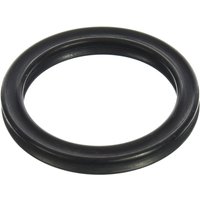 Image of Manitou Magnum Air Piston Seal 2015